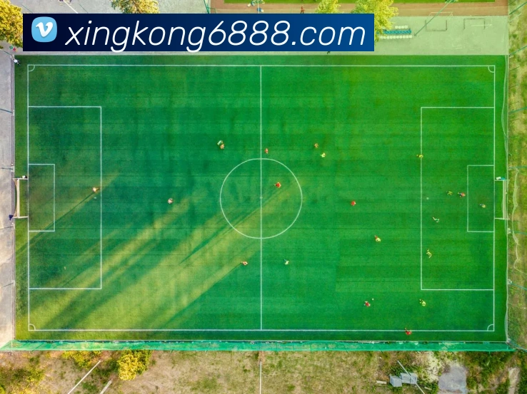 星空体育APP 封面图